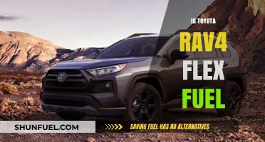 Is the Toyota RAV4 Flex Fuel Compatible? Exploring Fuel Options
