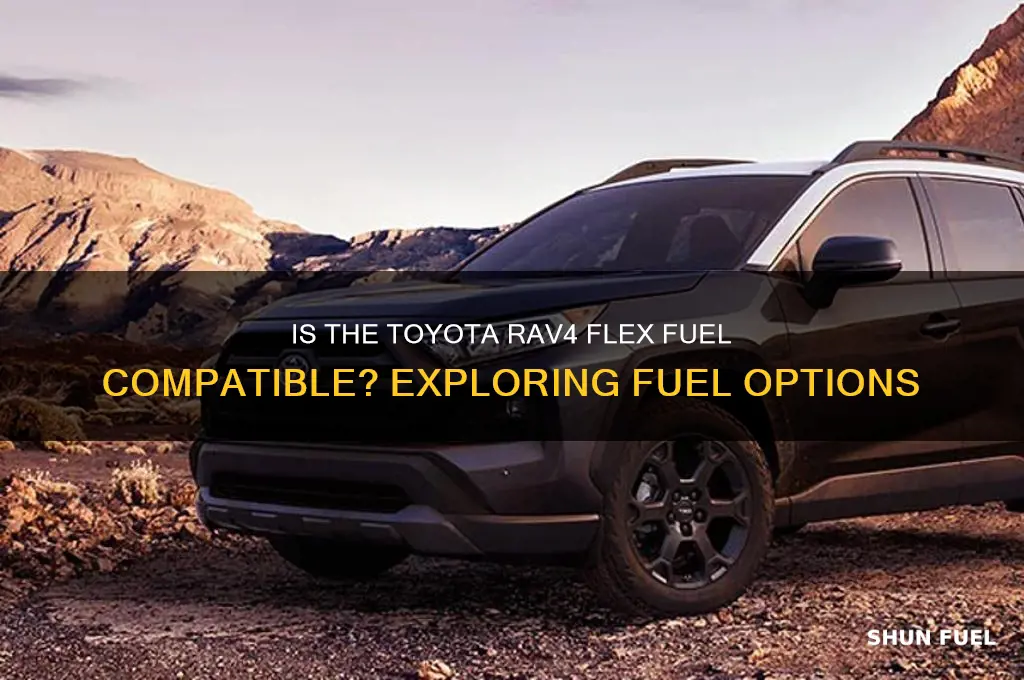 is toyota rav4 flex fuel