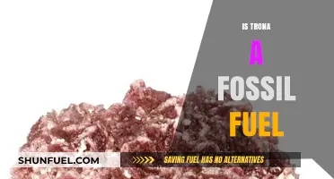 Is Trona a Fossil Fuel? Unraveling the Truth Behind the Myth