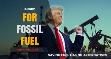 Trump's Energy Policy: A Boost for Fossil Fuels or Not?