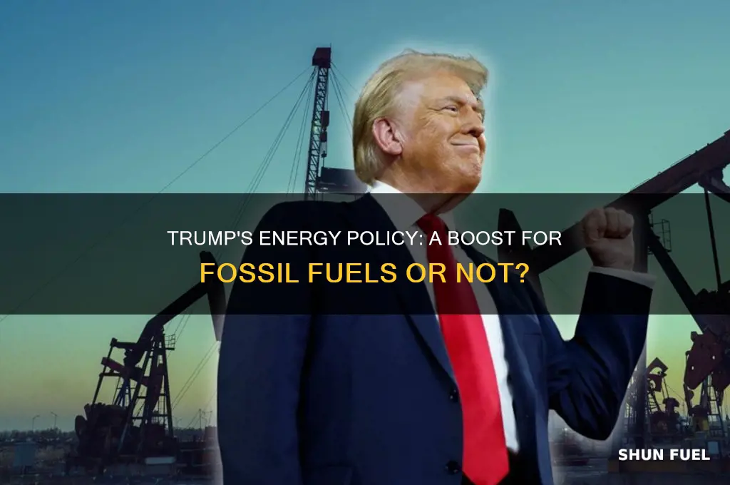 is trump for fossil fuel