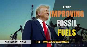Trump's Impact: Boosting Fossil Fuels or Hindering Progress?