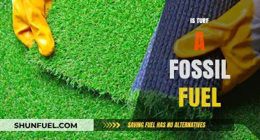 Is Turf a Fossil Fuel? Unraveling the Energy Source Debate