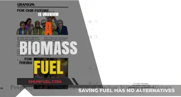 Is Uranium a Biomass Fuel? Debunking Myths and Facts