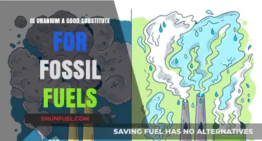 Uranium vs. Fossil Fuels: A Sustainable Energy Alternative?