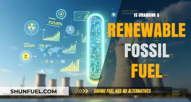 Is Uranium a Renewable Fossil Fuel? Debunking Energy Myths