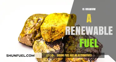 Uranium's Role in Energy: Is It a Renewable Fuel Source?