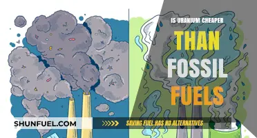 Uranium vs. Fossil Fuels: Cost Comparison and Energy Efficiency