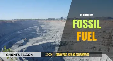 Uranium: Fossil Fuel or Not?