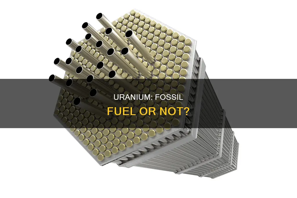 is uranium fossil fuel