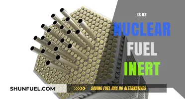 Is US Nuclear Fuel Inert? Exploring Safety and Reactivity Concerns
