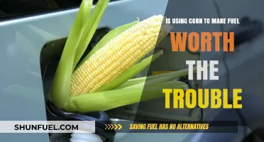 Corn-Based Fuel: A Sustainable Solution or Costly Mistake?