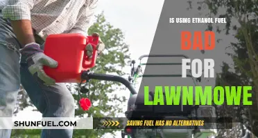 Ethanol Fuel in Lawnmowers: Pros, Cons, and Long-Term Effects