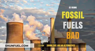Fossil Fuels: Environmental Impact, Pros, Cons, and Sustainable Alternatives
