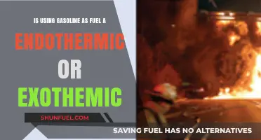 Gasoline Combustion: Endothermic or Exothermic Reaction Explained