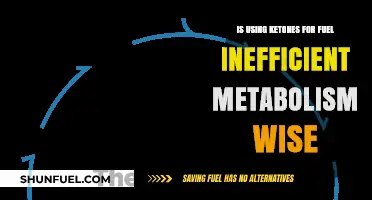 Ketones as Fuel: Inefficient Metabolism or Optimal Energy Source?