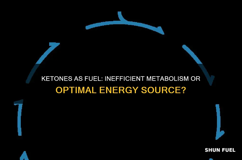 is using ketones for fuel inefficient metabolism wise