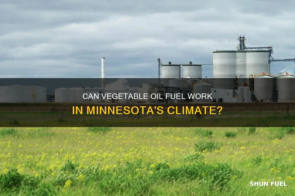 is vegetable oil used as fuel work in minnesota