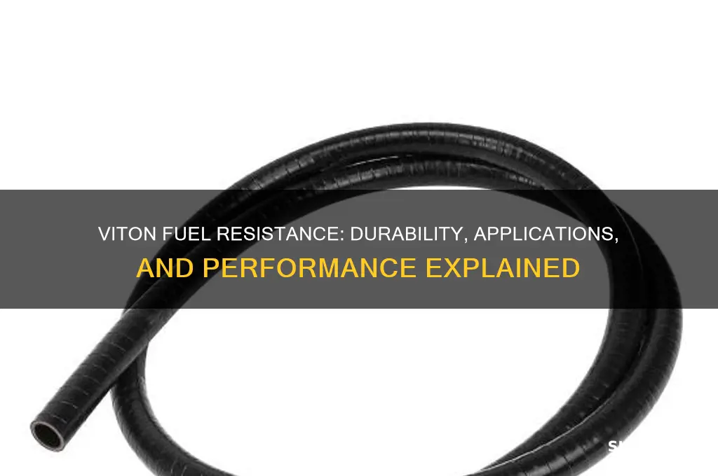 is viton fuel resistance