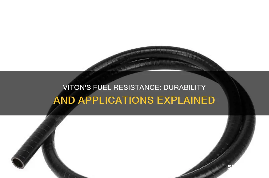 is viton fuel resistant