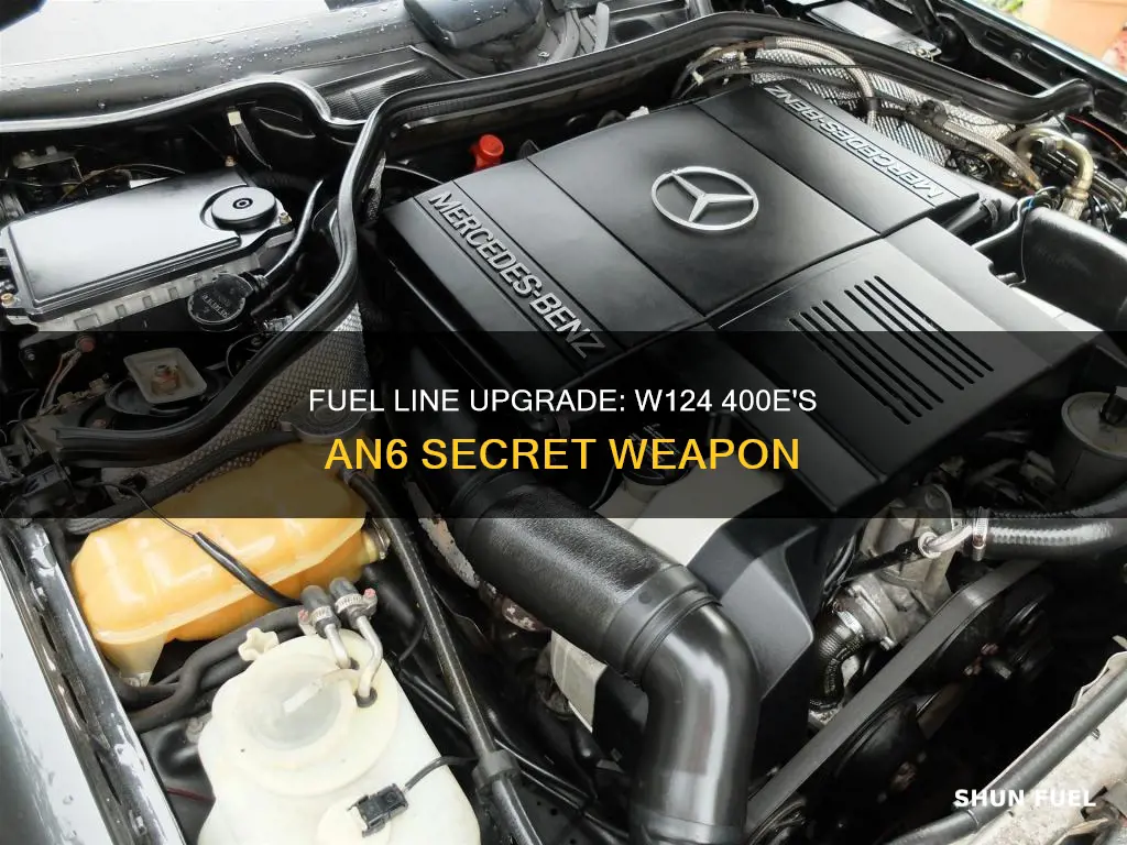 is w124 400e fuel line an6