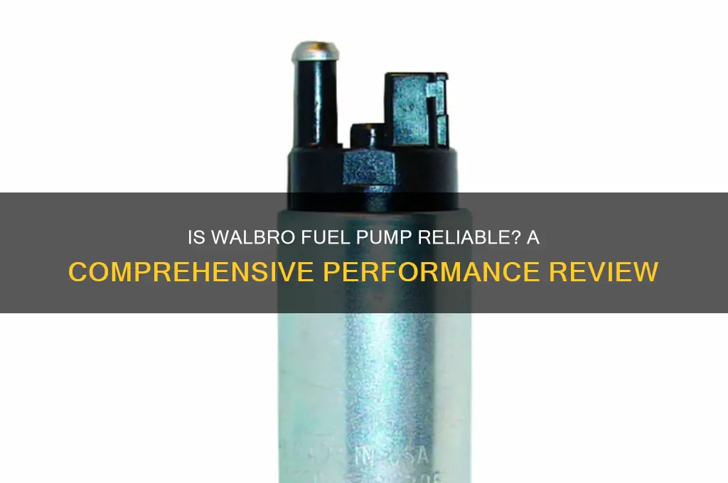 is walbro fuel pump good