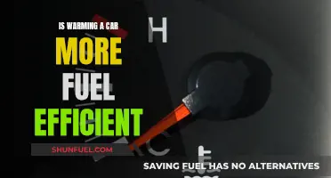 Warming Up Your Car: Fuel Efficiency or Myth?