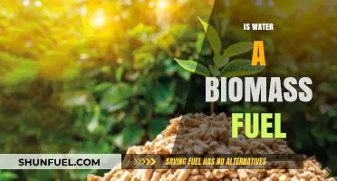 Is Water a Biomass Fuel? Exploring Renewable Energy Myths