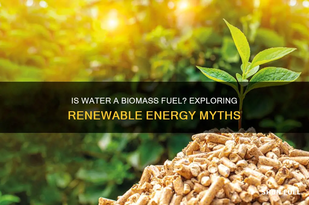 is water a biomass fuel