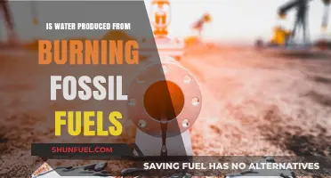 Burning Fossil Fuels: Does It Really Produce Water?