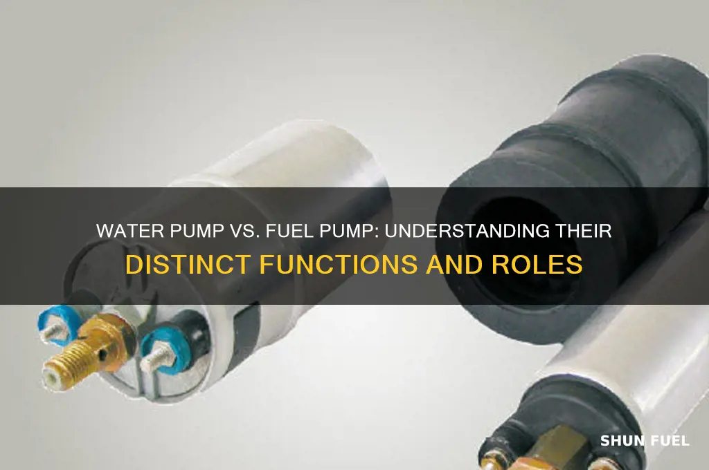 is water pump and fuel pump the same