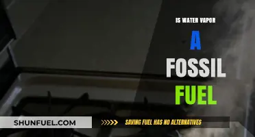 Is Water Vapor a Fossil Fuel? Debunking the Myth