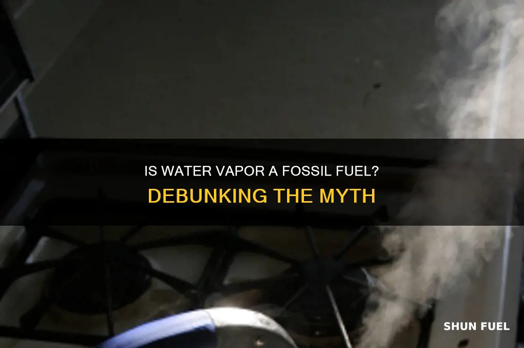 is water vapor a fossil fuel