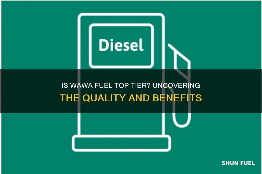 is wawa fuel top tier