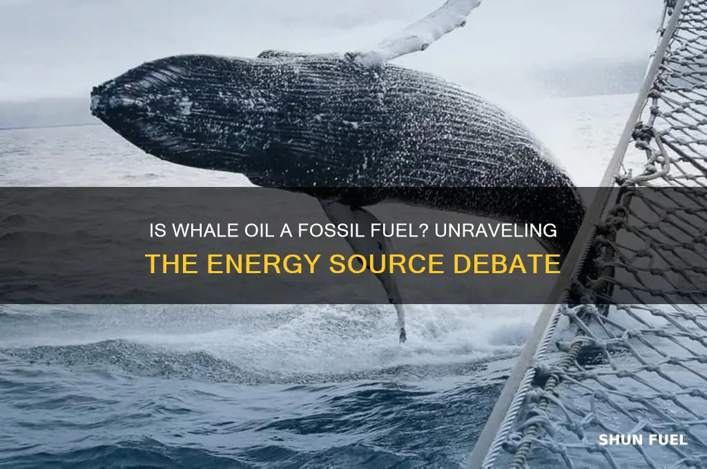 is whale oil a fossil fuel