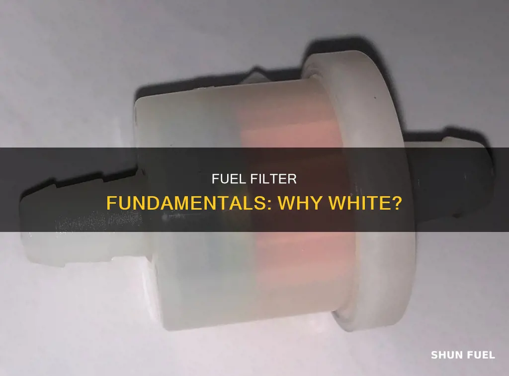 is white fuel filter for pump
