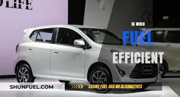 Is the Wigo Fuel Efficient? A Comprehensive Review and Analysis