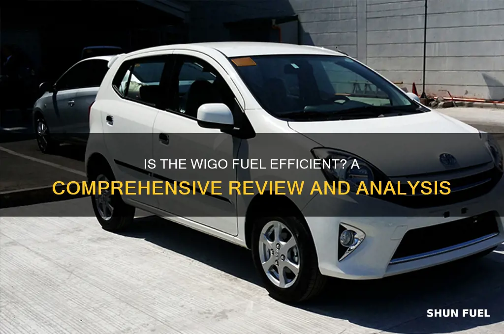is wigo fuel efficient
