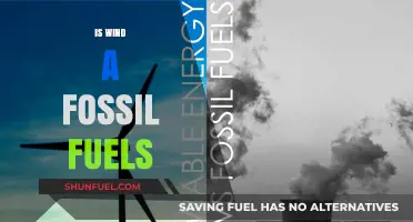 Wind Energy vs. Fossil Fuels: Debunking the Renewable Myth