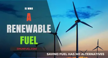Is Wind a Renewable Fuel? Exploring Sustainable Energy Potential