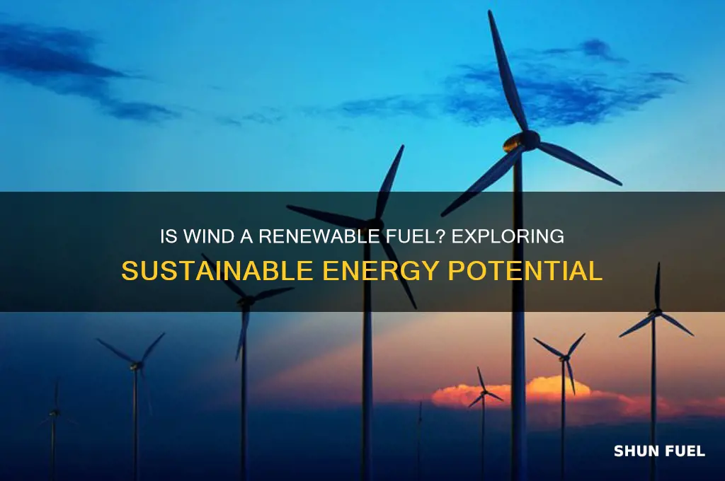 is wind a renewable fuel