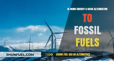 Wind Energy vs. Fossil Fuels: A Sustainable Power Alternative?