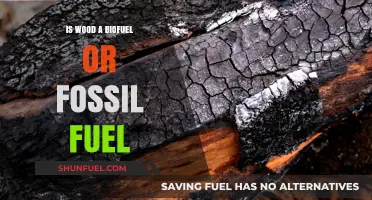Wood: Biofuel or Fossil Fuel? Understanding Its Energy Classification