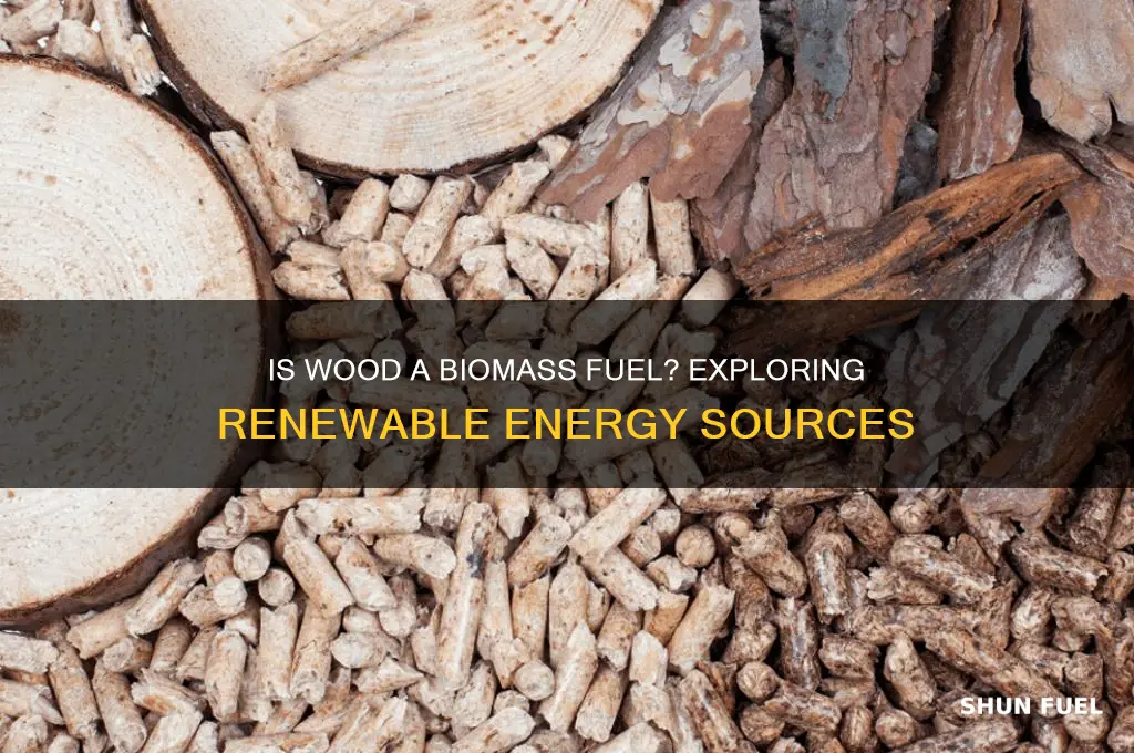 is wood a biomass fuel