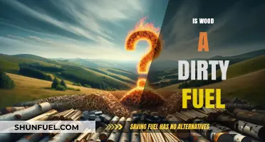 Is Wood a Dirty Fuel? Debunking Myths and Environmental Impacts