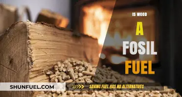 Is Wood a Fossil Fuel? Debunking Common Energy Myths