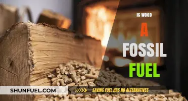 Wood: A Fossil Fuel or Not?