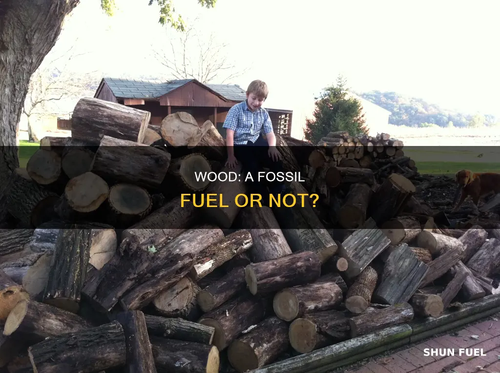 is wood a fossil fuel