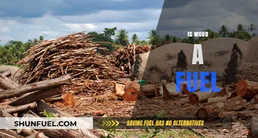 Is Wood a Fuel? Exploring Its Role in Energy Production