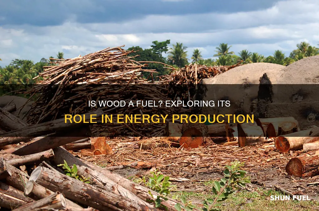 is wood a fuel